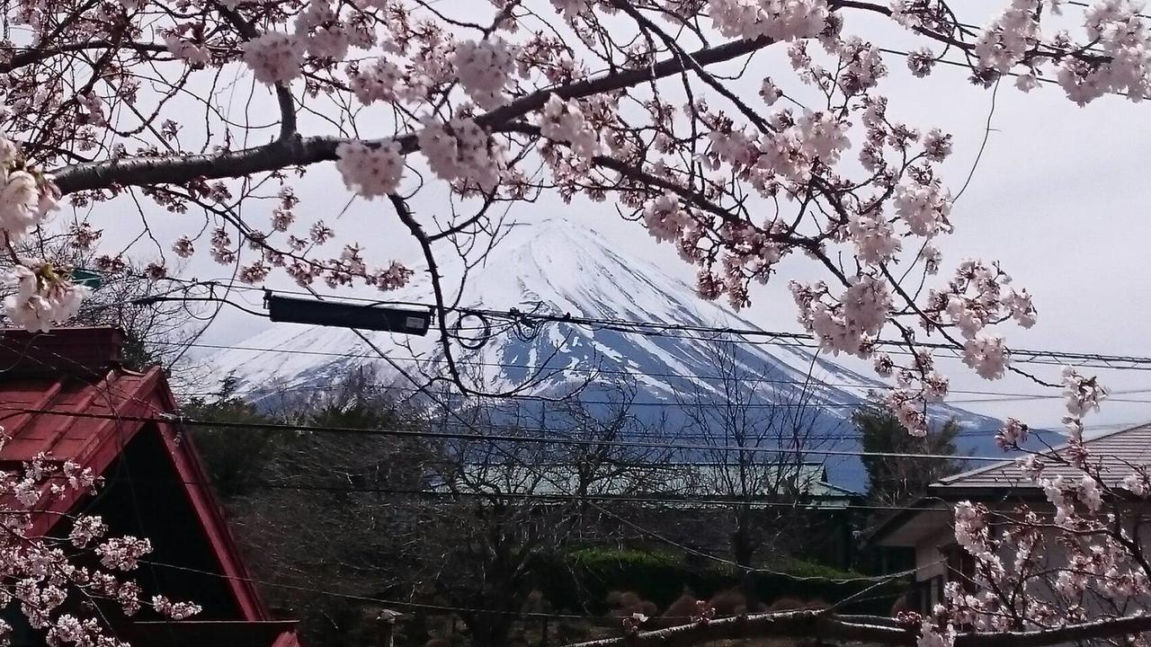 Holiday home Fuji Sakura House